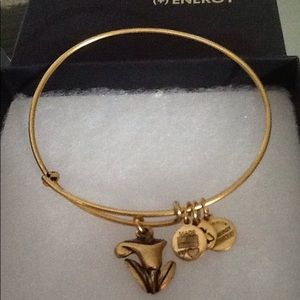 Alex and Ani bracelet